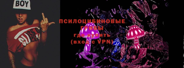 ПСИЛОЦИБИНОВЫЕ ГРИБЫ Алексин