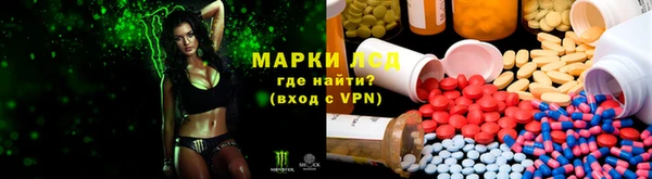 ПСИЛОЦИБИНОВЫЕ ГРИБЫ Алексин
